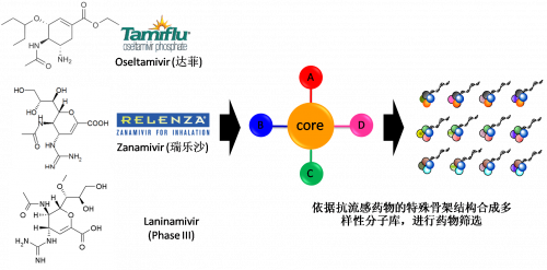 图2：以现有抗流感药物的结构为基。卸嘌砸┪锓肿涌獾暮铣伞