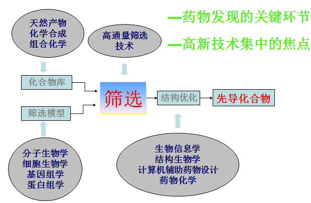 药物筛选模型流程图