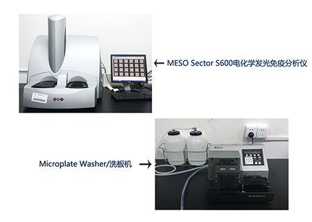 人生就是博电化学发光免疫分析仪和全自动洗板机