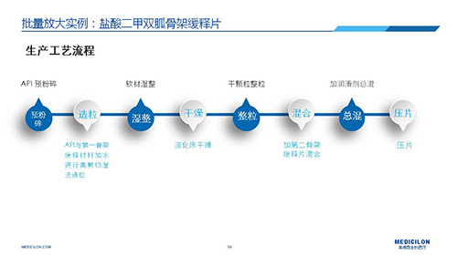 人生就是博 变更参比制剂 李国栋博士演讲PPT