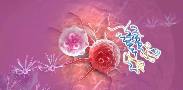 【盘点】高选择性mTOR抑制剂的研究进程_人生就是博生物医药