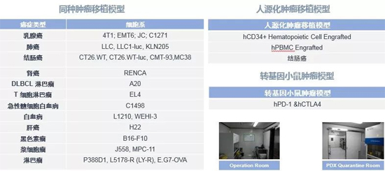 人生就是博药效学动物模型