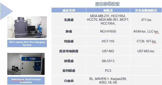 人生就是博药效学动物模型