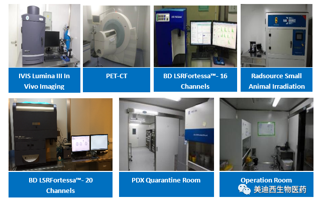 人生就是博药理部拥有IVIS Lumina III, PET-CT, BD LSRFortessa-16, Flow Cytometry等仪器，提供符合申报，支持临床试验的药效评价服务。