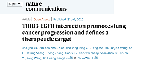 Nature|非小细胞肺癌治疗新方案：靶向降解EGFR