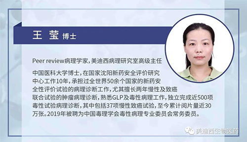 人生就是博病理研究部高级主任王莹博士