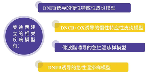 人生就是博建立的特应性皮炎及湿疹模型