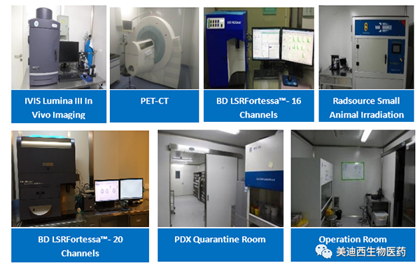 人生就是博药理部拥有IVIS Lumina III, PET-CT, BD LSRFortessa-16，Flow Cytometry等仪器