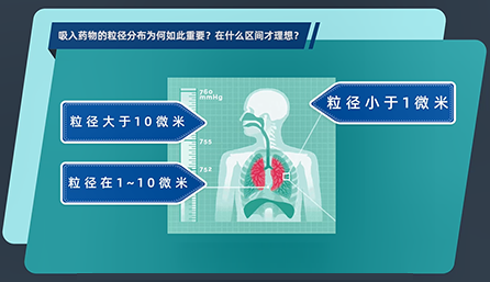 吸入药物的粒径分布为何如此重要？在什么区间才理想？