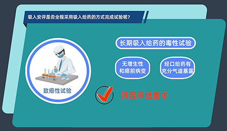 吸入安评是否全程采用吸入给药的方式完成试验呢？