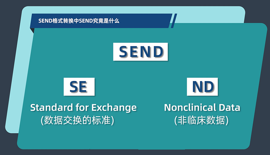 SEND格式转换中的SEND究竟是什么？