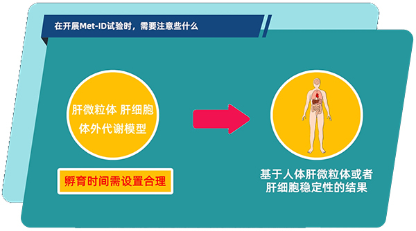 肝微粒体、肝细胞体外代谢模型中，孵育时间需设置合理.jpg