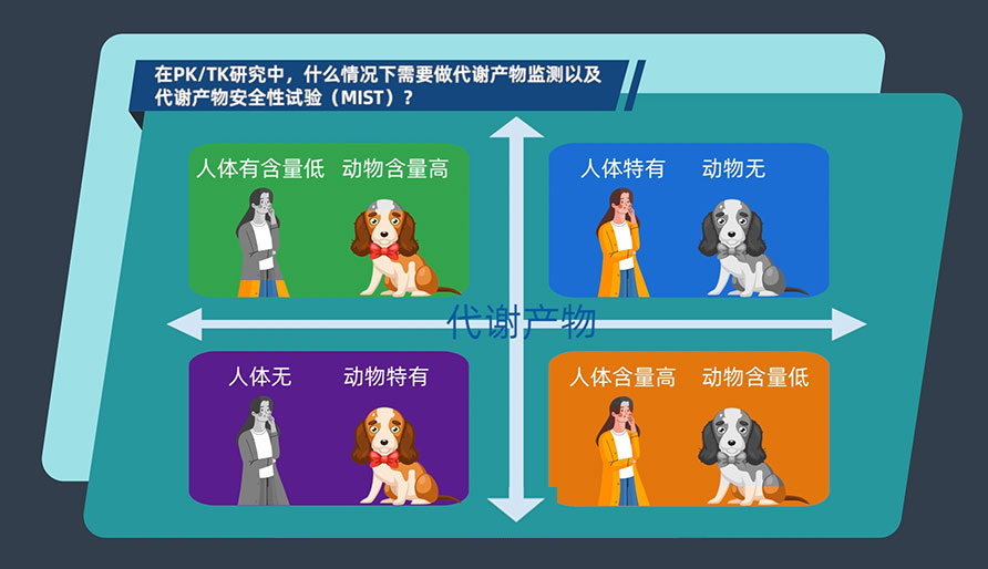 在PK-TK研究中，什么情况下需要做代谢产物监测以及代谢产物安全性试验（MIST）