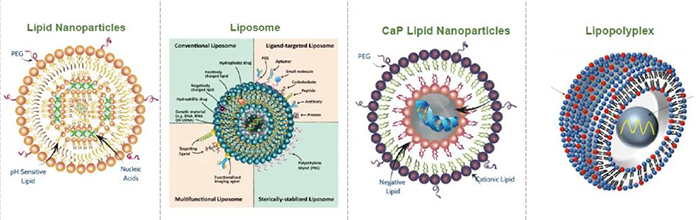 常见脂质递送系统.jpg