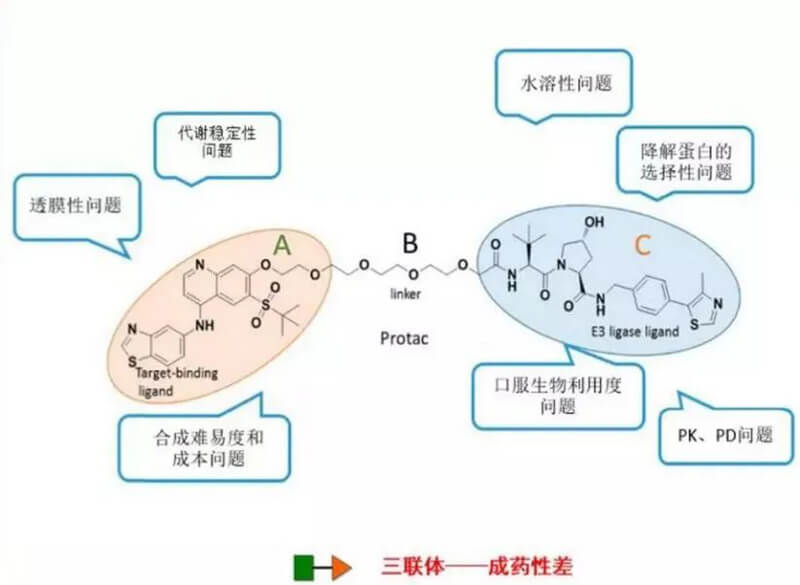 PROTAC分子量较大，溶解性较差.jpg