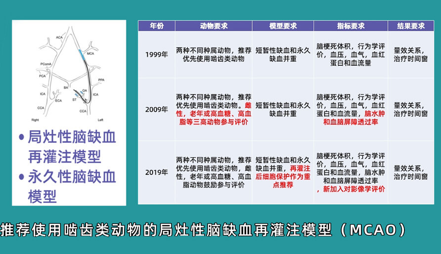 袁云云博士：啮齿类动物脑卒中疾病药效成药性评价系统（2）.jpg