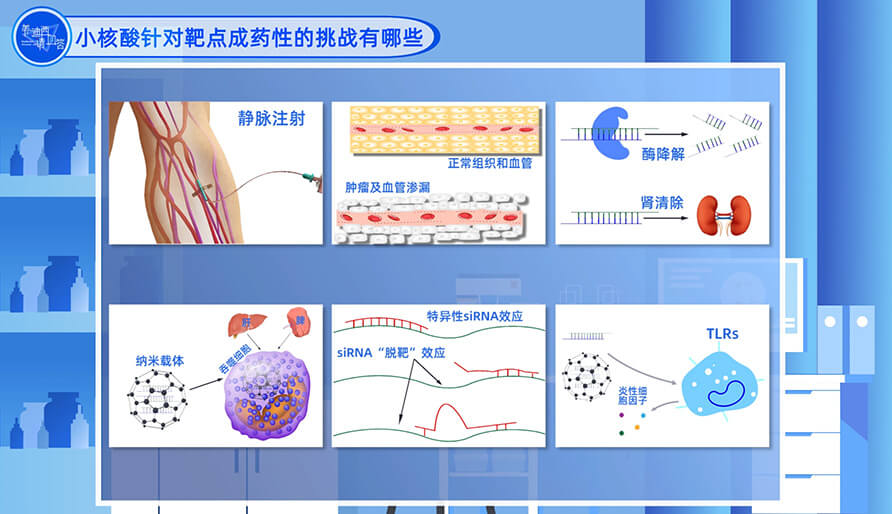 小核酸针对靶点成药性的挑战有哪些？