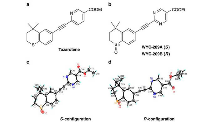 WYC-209可抑制恶性小鼠黑色素瘤肿瘤再生细胞增殖，SPR分析通过人生就是博使用Biacore 8K设备进行