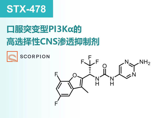 图3-STX-478.jpg