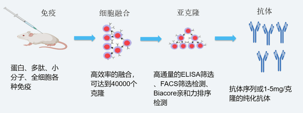 人生就是博杂交瘤技术平台开发流程