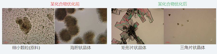 05案例分享-单晶培养，改变晶习.png