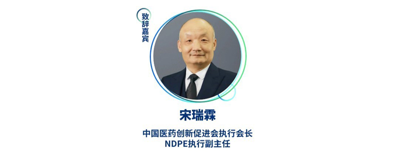 宋瑞霖--中国医药创新促进会执行会长、NDPE执行副主任.jpg