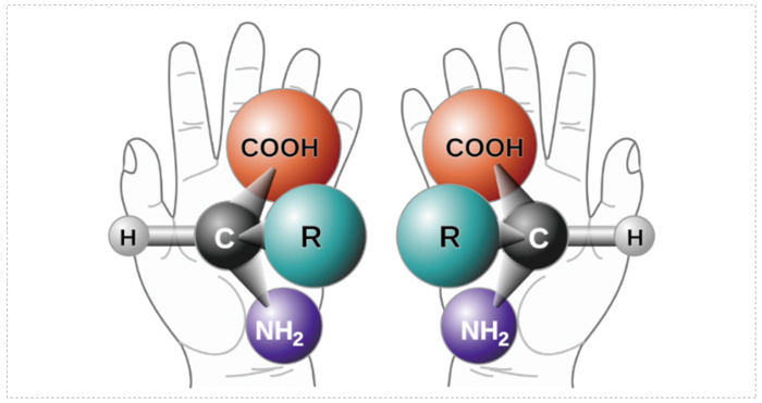 图-1-手性的概念.jpg