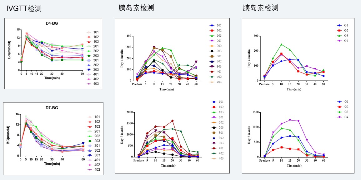 案例4：食蟹猴IVGTT和胰岛素检测实验.jpg